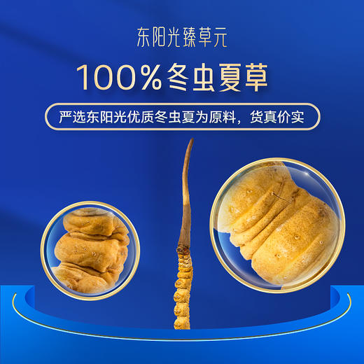 东阳光臻草元 虫草含片 高端滋补送礼 小灯泡三瓶装 商品图8