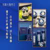东阳光臻草元 虫草含片 高端滋补送礼 小灯泡三瓶装 商品缩略图6