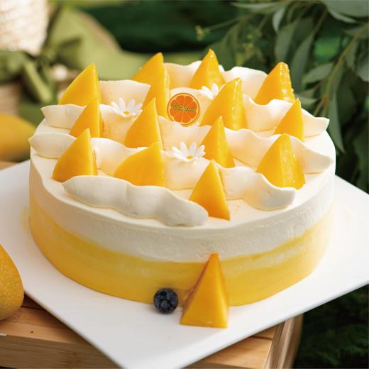 夏威夷派对 商品图1