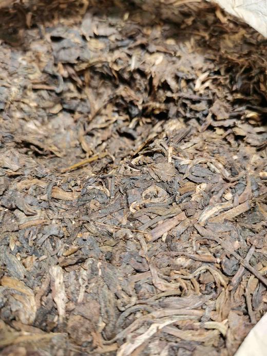 1999珍藏陈年青饼(野生乔木） 商品图1