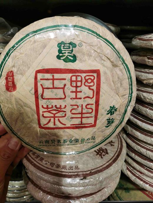 西盟野生古树春芽 商品图0