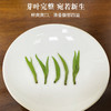 绿茶 | 潇湘 2026年新茶  明前头采保靖黄金茶2号特级60g 商品缩略图4