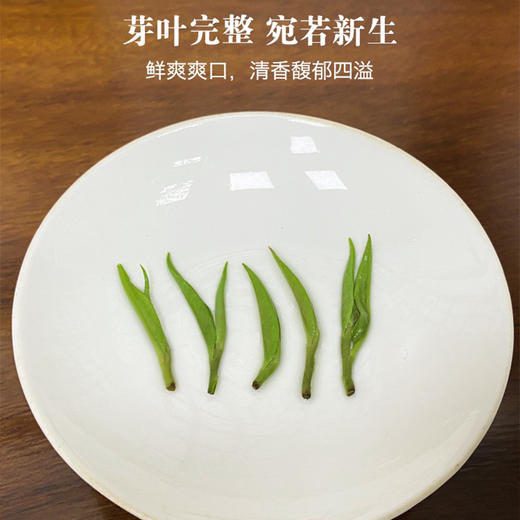绿茶 | 潇湘 2026年新茶  明前头采保靖黄金茶2号特级60g 商品图4