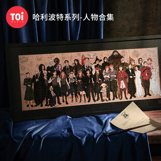 TOI图益-哈利波特系列-《人物合集》-1000片 商品图0