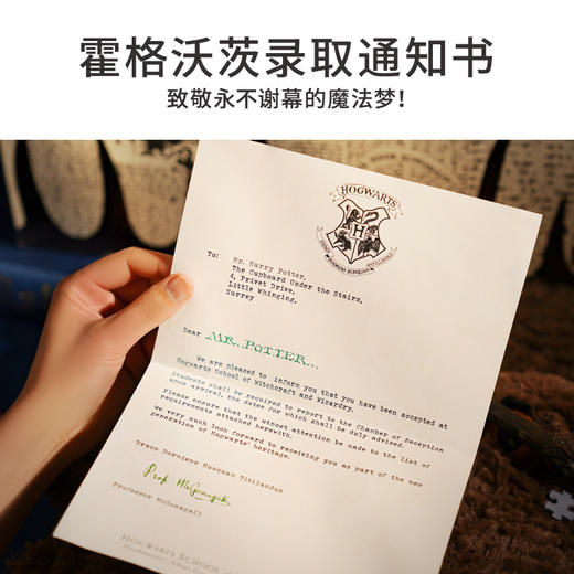 TOI图益-哈利波特系列-《人物合集》-1000片 商品图2