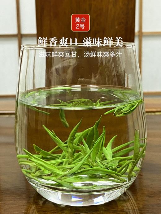 绿茶 | 潇湘 2026年新茶  明前头采保靖黄金茶2号特级60g 商品图2