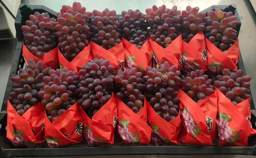 茉莉香葡萄 1000g 商品图0