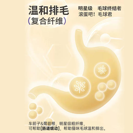 麦富迪幼猫猫粮乳铁蛋白鸡肉官方旗舰店成猫全价通用正品奶糕粮 商品图1