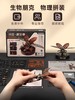 若客拼装系列 商品缩略图4