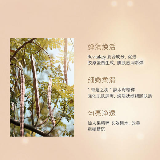 雅诗兰黛多效智妍精华乳液100ml补水保湿淡化细纹紧致改善暗沉 商品图3