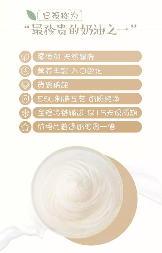 明治淡奶蛋糕 商品图3