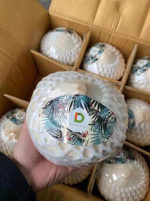泰国佳垚青椰 椰子 商品图10