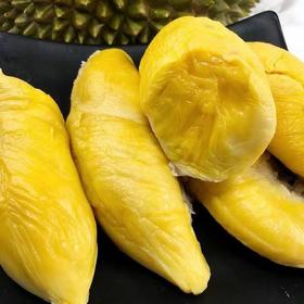 新鲜现剥泰国金枕榴莲肉  约500g*份