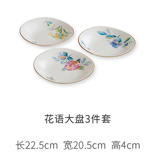 日本进口美浓烧和蓝陶瓷餐具日式水彩花卉家用菜盘子套装乔迁商务礼盒 商品图5