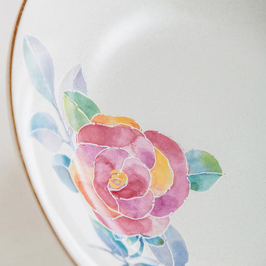 日本进口美浓烧和蓝陶瓷餐具日式水彩花卉家用菜盘子套装乔迁商务礼盒 商品图3