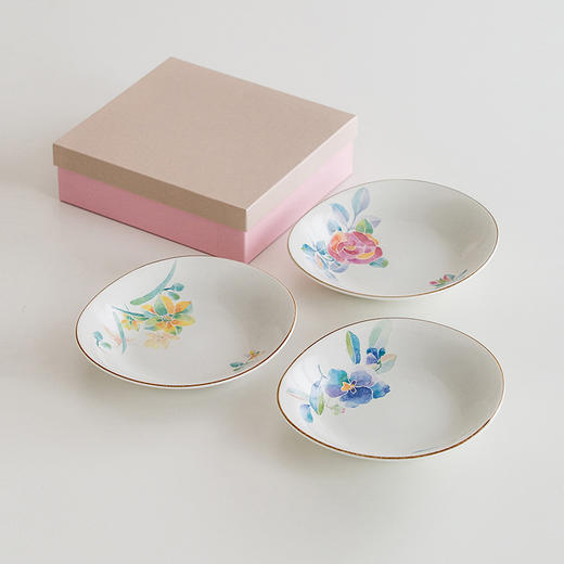日本进口美浓烧和蓝陶瓷餐具日式水彩花卉家用菜盘子套装乔迁商务礼盒 商品图0