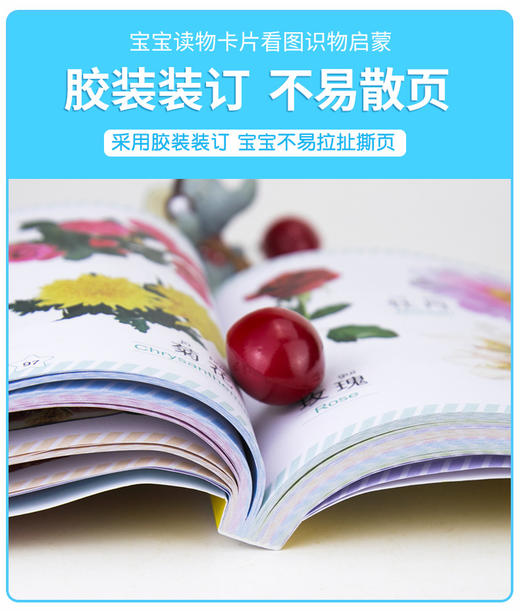 认物大全600例 商品图4