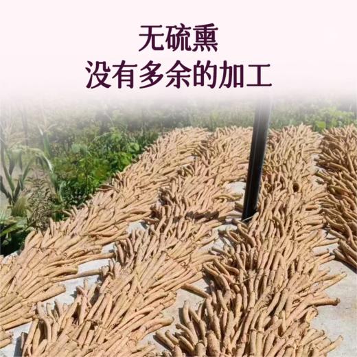 【板桥党参】整根恩施硒都无硫大条道地产区可直接嚼食 煮粥煲汤 商品图2
