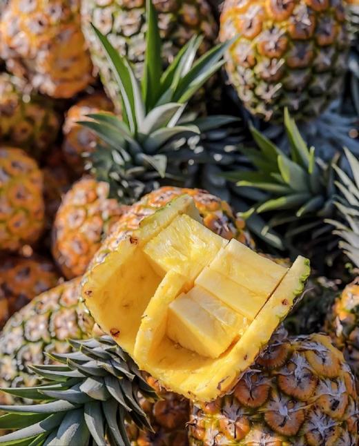 琼中美味海南凤梨金钻凤梨顺丰/京东陆运发货 商品图4