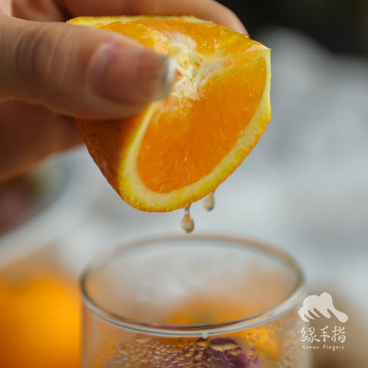 生态夏橙（偏酸） | 合作生产 * Ecological Summer Orange | Partner Production 商品图1