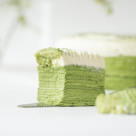 千层家族｜翡翠千层 商品图5