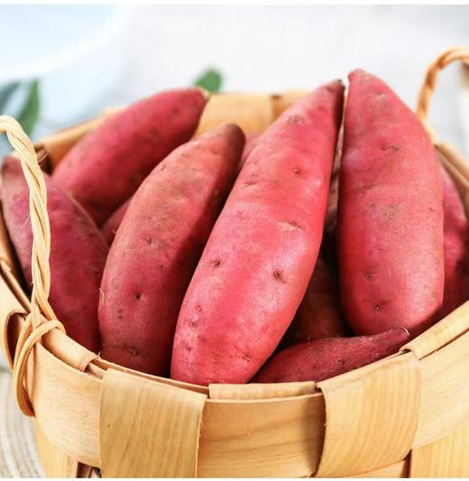 琼中美味海南桥头地瓜 商品图2