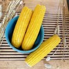 海伦半亩田甜糯玉米10根礼盒 真空保鲜玉米 非转基因 商品缩略图1