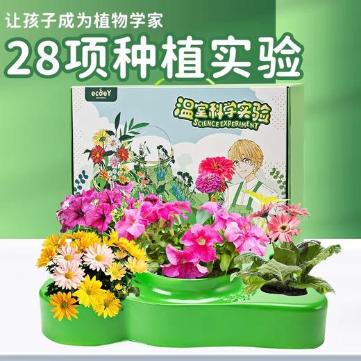 植物生长观察科学小实验套装儿童种植阳光房幼儿园小学生益智玩具温室科学实验 38*30*9.5 商品图1