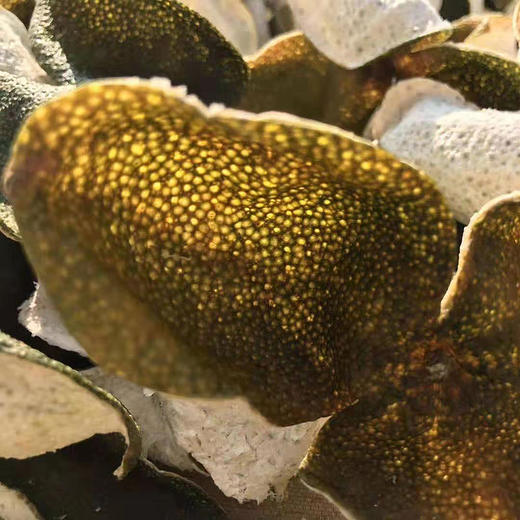 新会陈皮（1年/3年/5年/15年） 商品图3