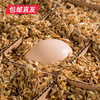 皖北林下散养土鸡蛋30枚（包邮直发）【LY】 商品缩略图1