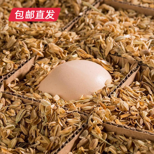 皖北林下散养土鸡蛋30枚（包邮直发）【LY】 商品图1