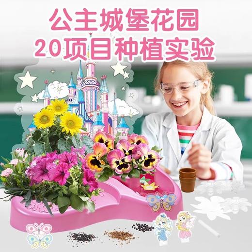 公主城堡花园儿童种植小盆栽套装植物绿植种子四季可种学生幼儿园 月销 0公主城堡花园 33*8*23 商品图1