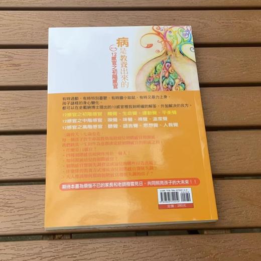 【华德福经典书籍】病是教养出來的 （第三集）- 12感官之初階感官（第三集） 台湾版（繁体） 商品图2