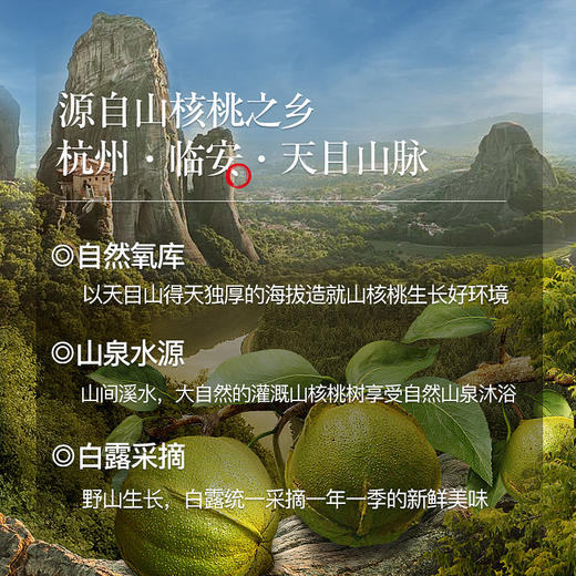 姚生记 92克原香味山核桃仁  饱满松脆 商品图2