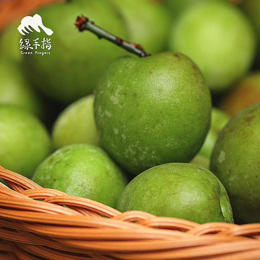 生态清远青梅 | 合作生产 * Eco-QingYuan green plum | Coproduction 商品图0