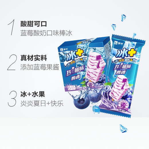 蒙牛冰加+蓝莓水果棒冰酸奶70克/支雪糕冰糕批发 商品图1