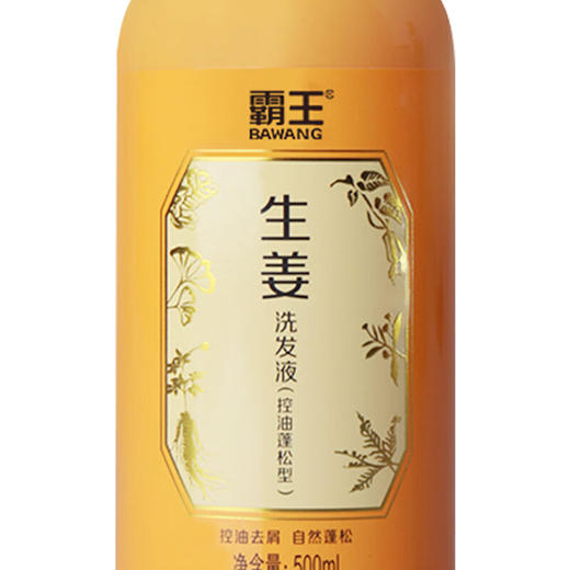 霸王生姜洗发露控油蓬松500ml 商品图2