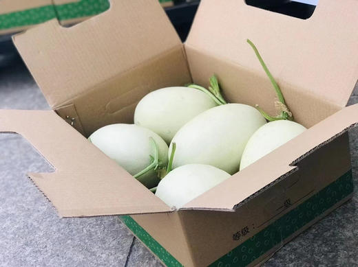 正宗南汇玉菇🍈又软糯、又水润、又香甜～冰镇后更爽😍收到建议常温放置两天 商品图13