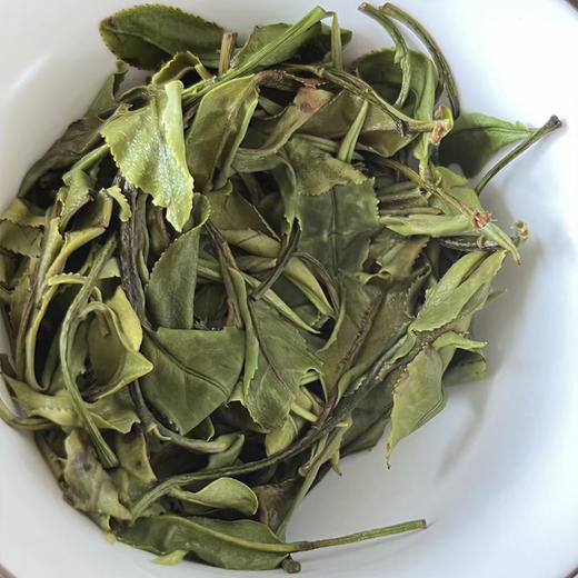 福鼎白茶 | 【2023年新茶】中雄御品 野清明 150g/砖 商品图3