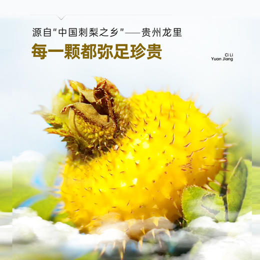 福东海 刺梨原浆500ml 刺梨汁高VC 刺梨液 贵州原产刺梨 原汁 开盖即喝 商品图4