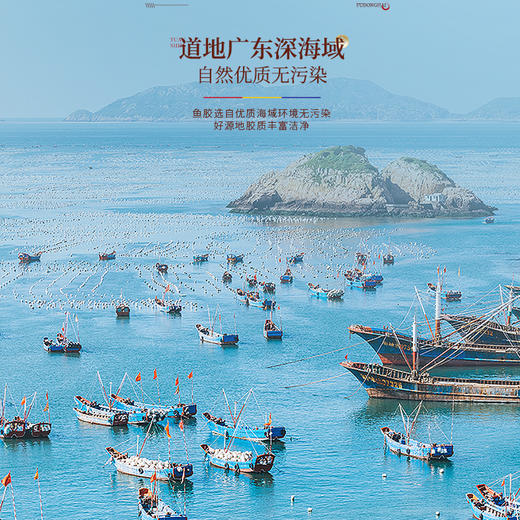 福东海 黄花鱼胶100克 甄选深海鱼胶胶原蛋白 孕妇女人滋补品 节日礼物 花胶干货礼盒装 商品图4