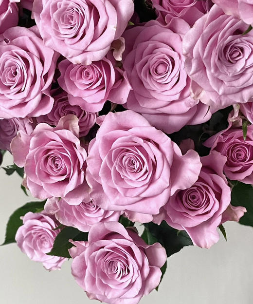 【市场多头】多头诺拉  10枝/扎 商品图2