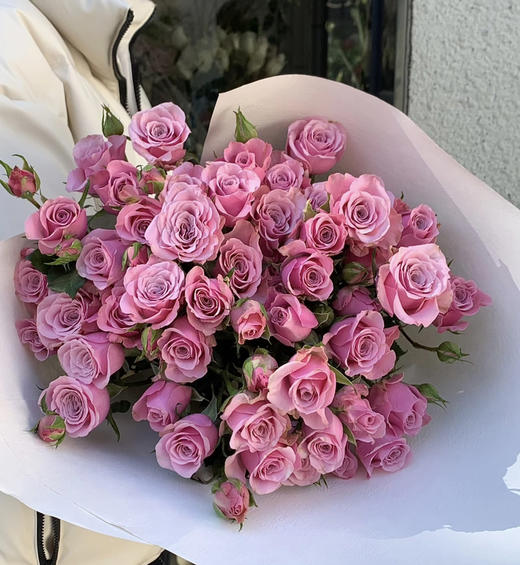 【市场多头】多头诺拉  10枝/扎 商品图7