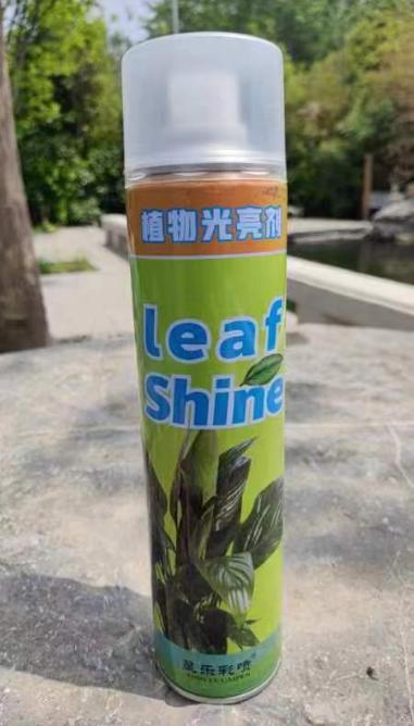 可利鲜鲜花保鲜剂--植物亮叶剂 商品图4