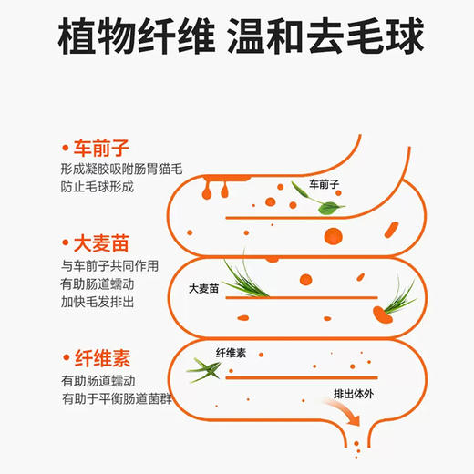 麦富迪小橙帽冻干化毛球片猫草片卵磷脂猫咪维生素化毛膏猫咪宠物 商品图4