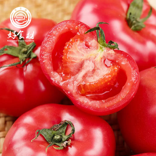 CY-爱琴海番茄 商品图2