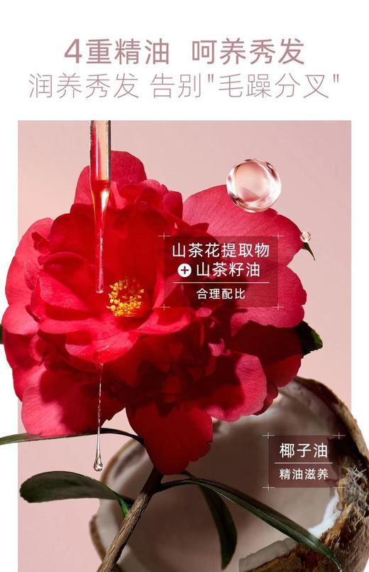 三生花莹亮修护洗发露 商品图4