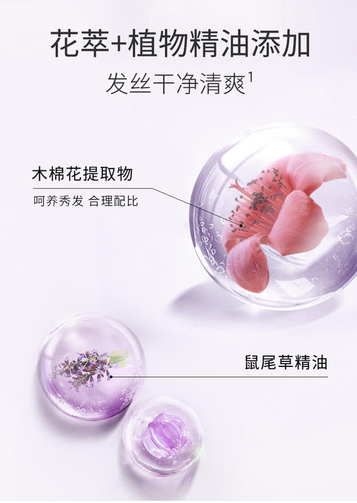 三生花控油清爽洗发水 商品图2