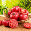 CY-爱琴海番茄 商品缩略图1