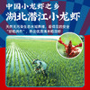 【拍一发五】御鲜锋小龙虾（3-5钱）700g（麻辣味/蒜香味） 商品缩略图1